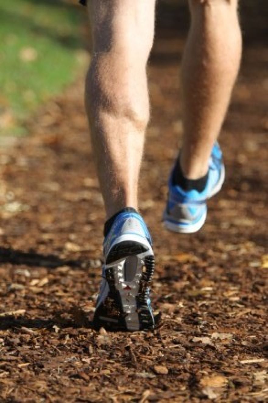 Fitness Läufer im Wald mit Salomon Schuhe